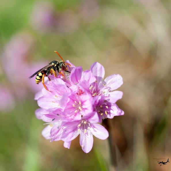Photographie_28042018_180854.jpg