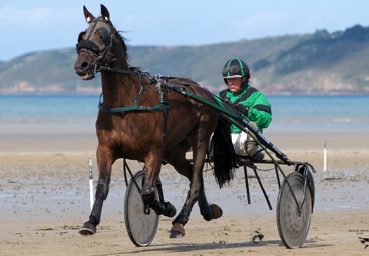 Les sports