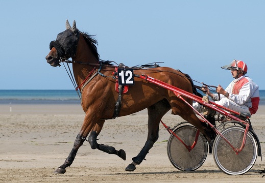 Les sports