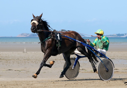 Les sports