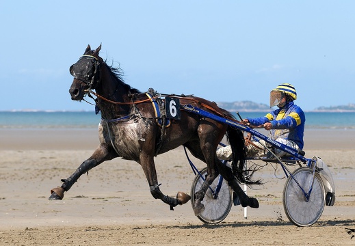 Les sports