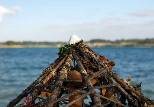 Photographie 20150926T174852 v1