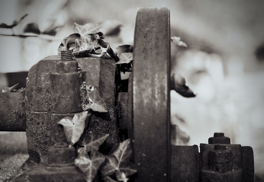 Photographie_20230822_0073
