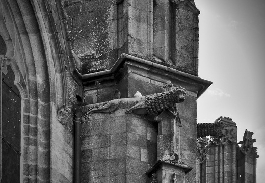 Photographie_20230823_0095