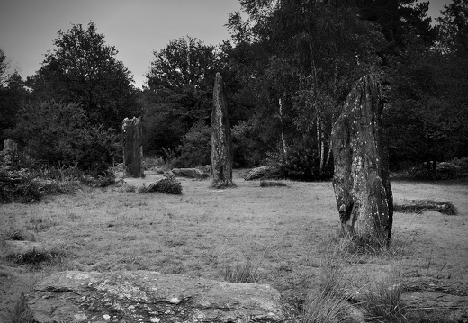 Photographie 20230824 0143