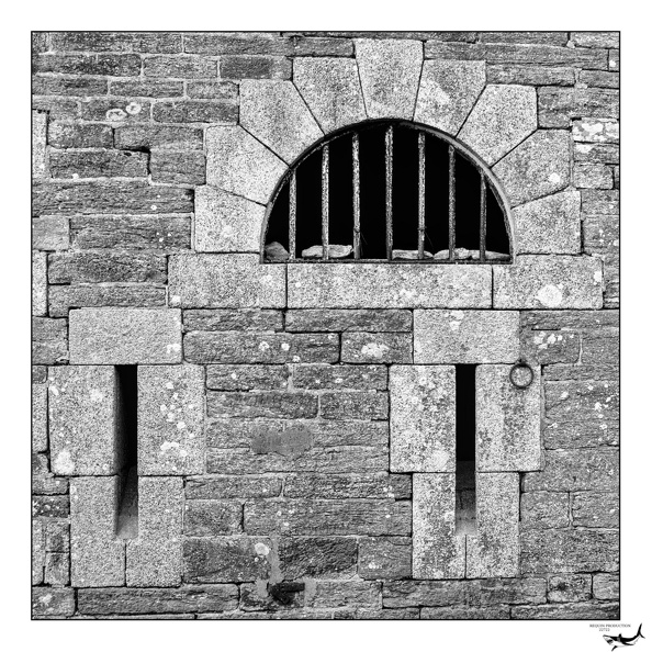 Photographie_20240224_0008.NEF
