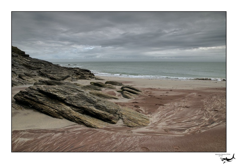 Photographie_20240225_0022.NEF