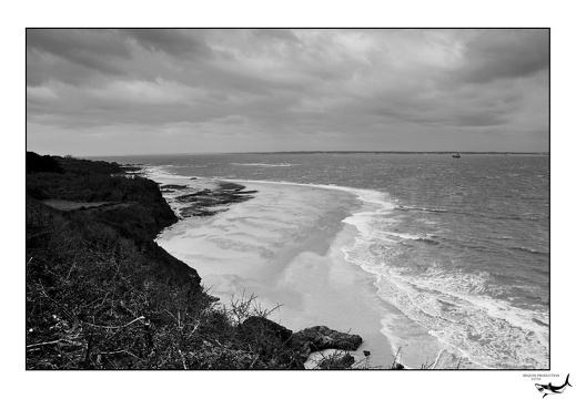 Photographie_20240226_0047