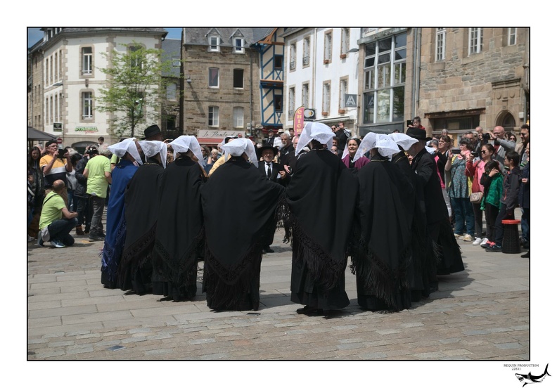 Photographie_20240519_0039.NEF