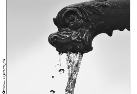 Photographie_20250719_0082