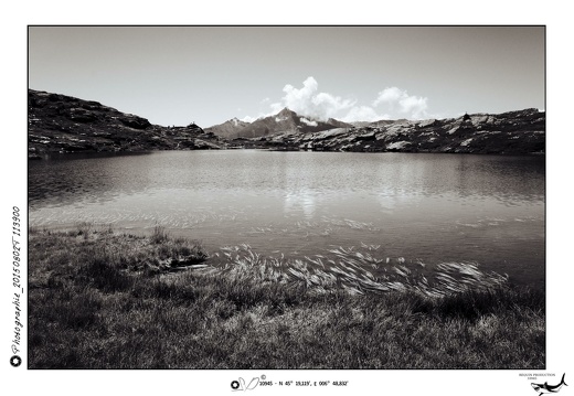 Photographie_20150802T113900