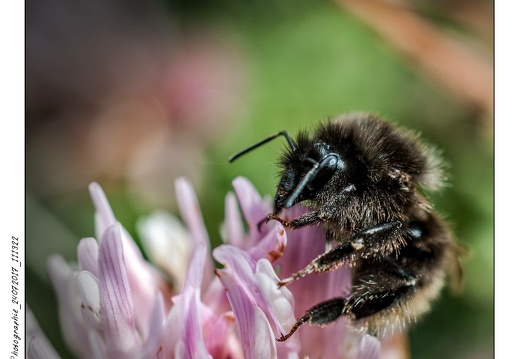 Photographie_24072017_111322