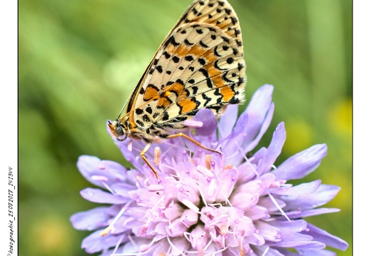 Photographie_25072017_141344