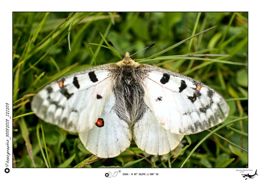 Photographie_30072017_121209