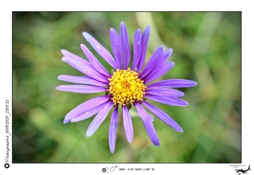 Photographie_30072017_130531