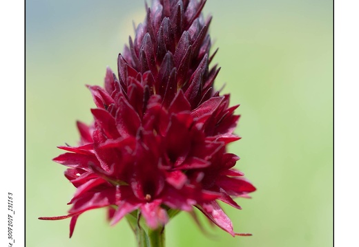 Photographie_30072017_131153