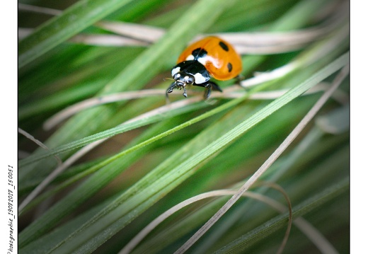 Photographie_19072017_150051