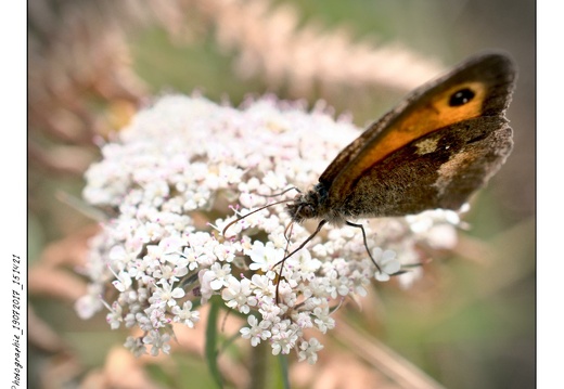 Photographie_19072017_151421