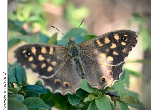 Photographie_28042018_182016