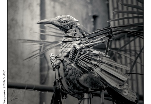 Photographie 20250824 0001