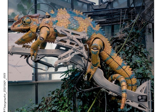 Photographie 20250824 0003