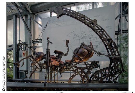 Photographie 20250824 0012