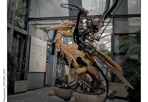 Photographie 20250824 0015