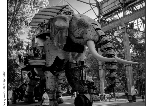 Photographie 20250824 0034