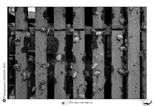 Photographie_20260220_0002