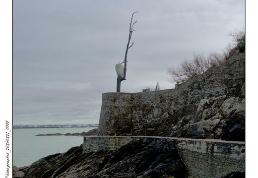 Photographie_20260221_0007