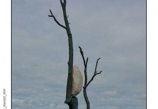 Photographie_20260221_0009